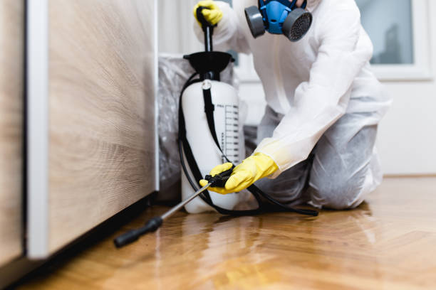 Flea Control Services in Saginaw, TX