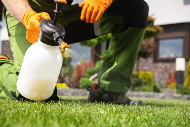 Best Pest Control Near Me in Saginaw, TX