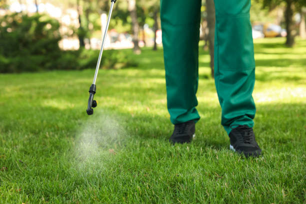 Best Cockroach Control Services  in Saginaw, TX