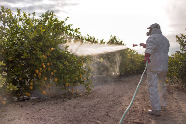 Best Mosquito Control Services  in Saginaw, TX