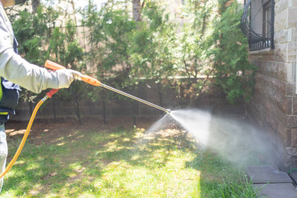 Best Termite Control Services  in Saginaw, TX