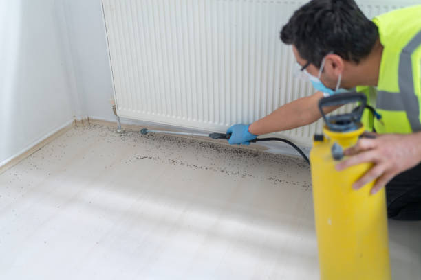 Best Exterminator Services  in Saginaw, TX